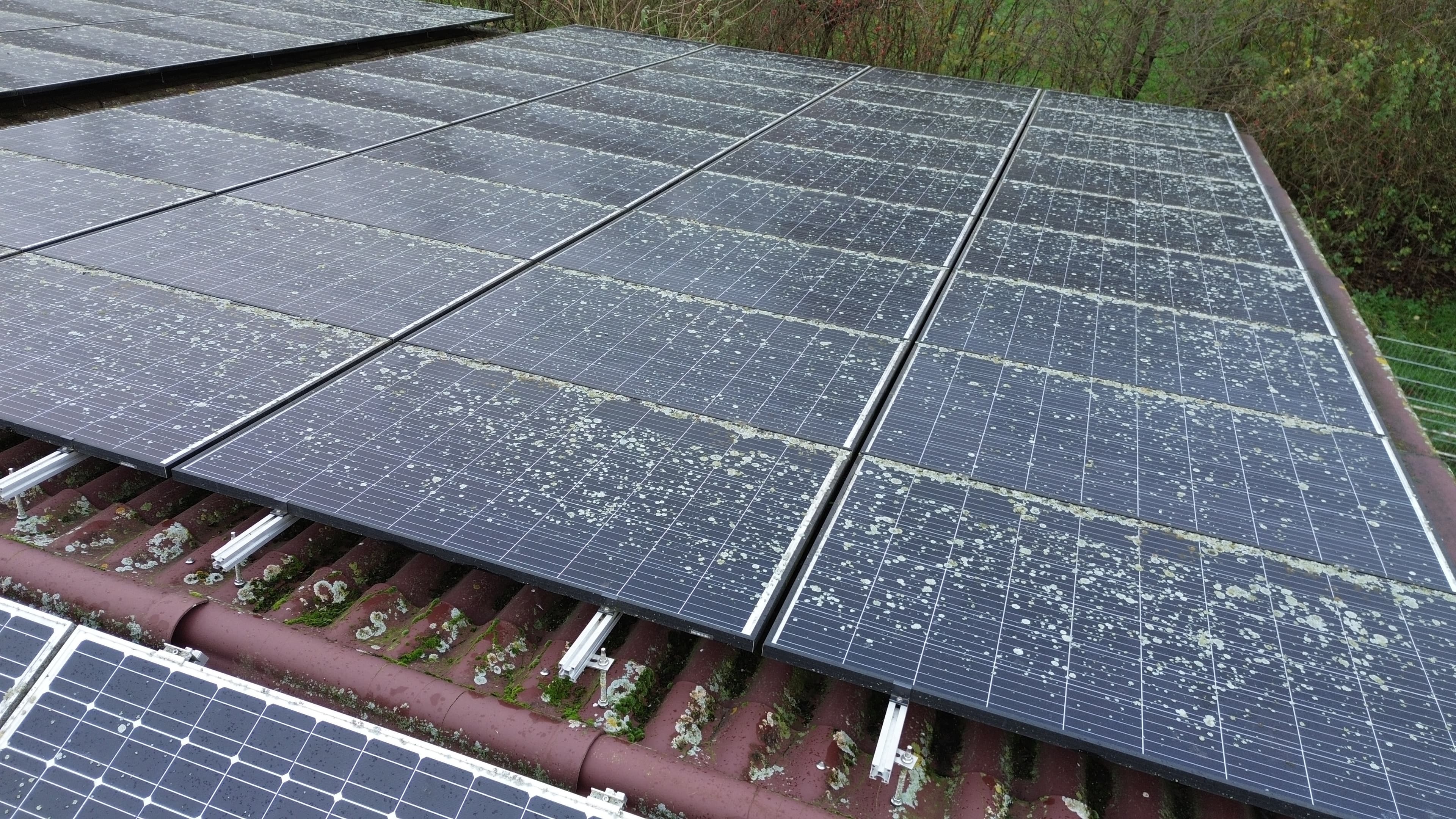Flechten auf Solaranlage entfernen – Rheine & Münsterland