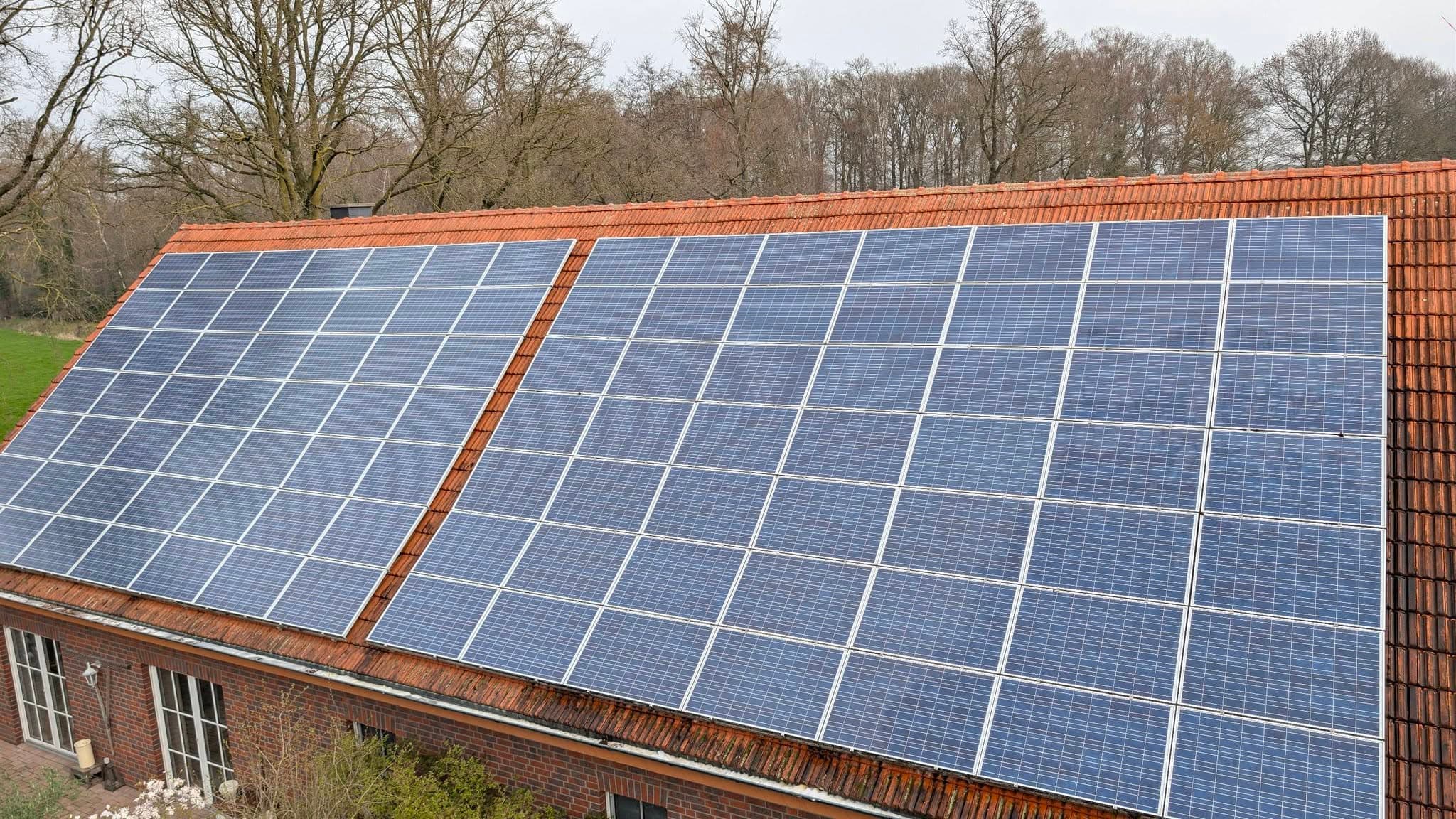 Wie wir Moos entfernen