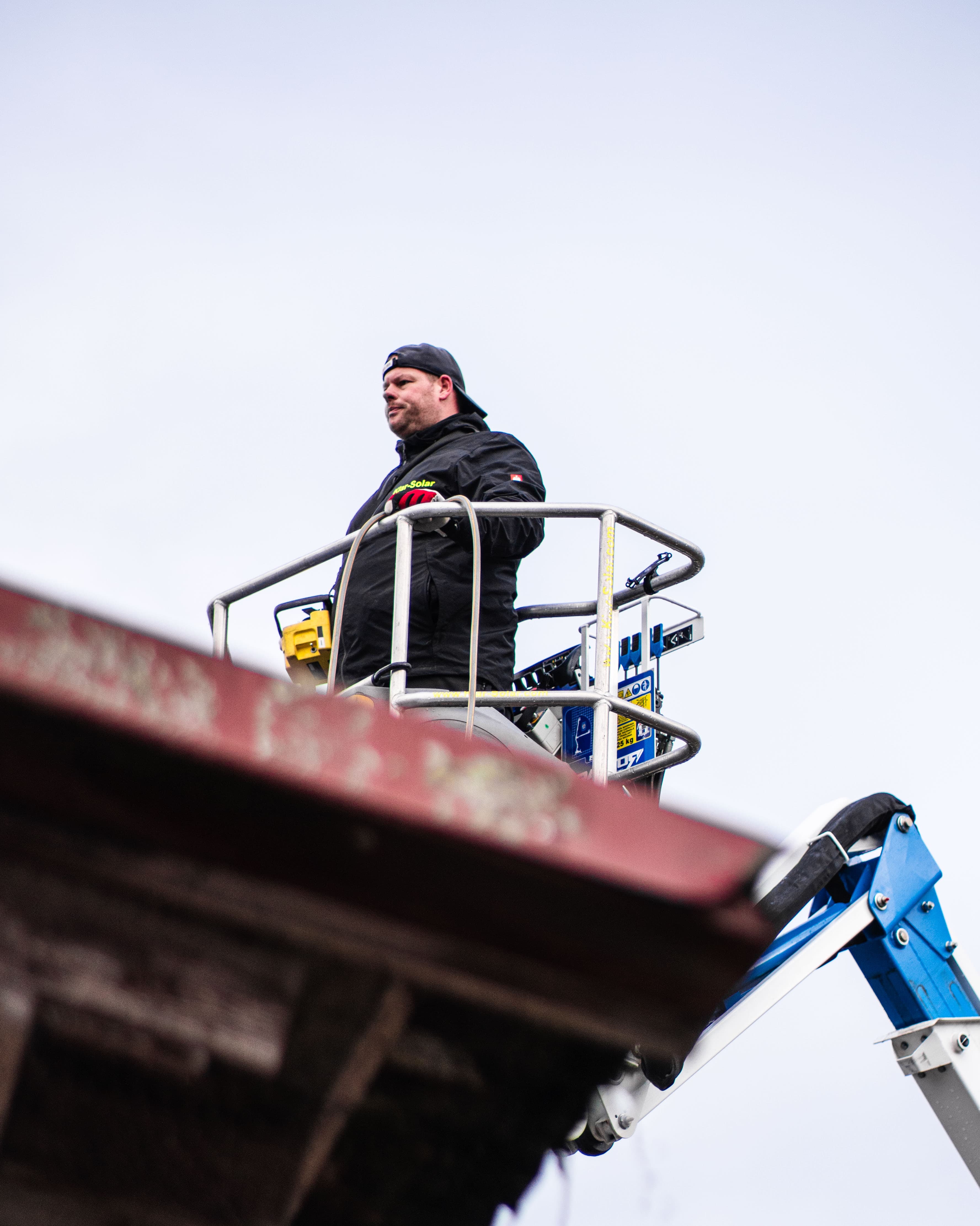 Warum Moos in Osnabrück so verbreitet ist