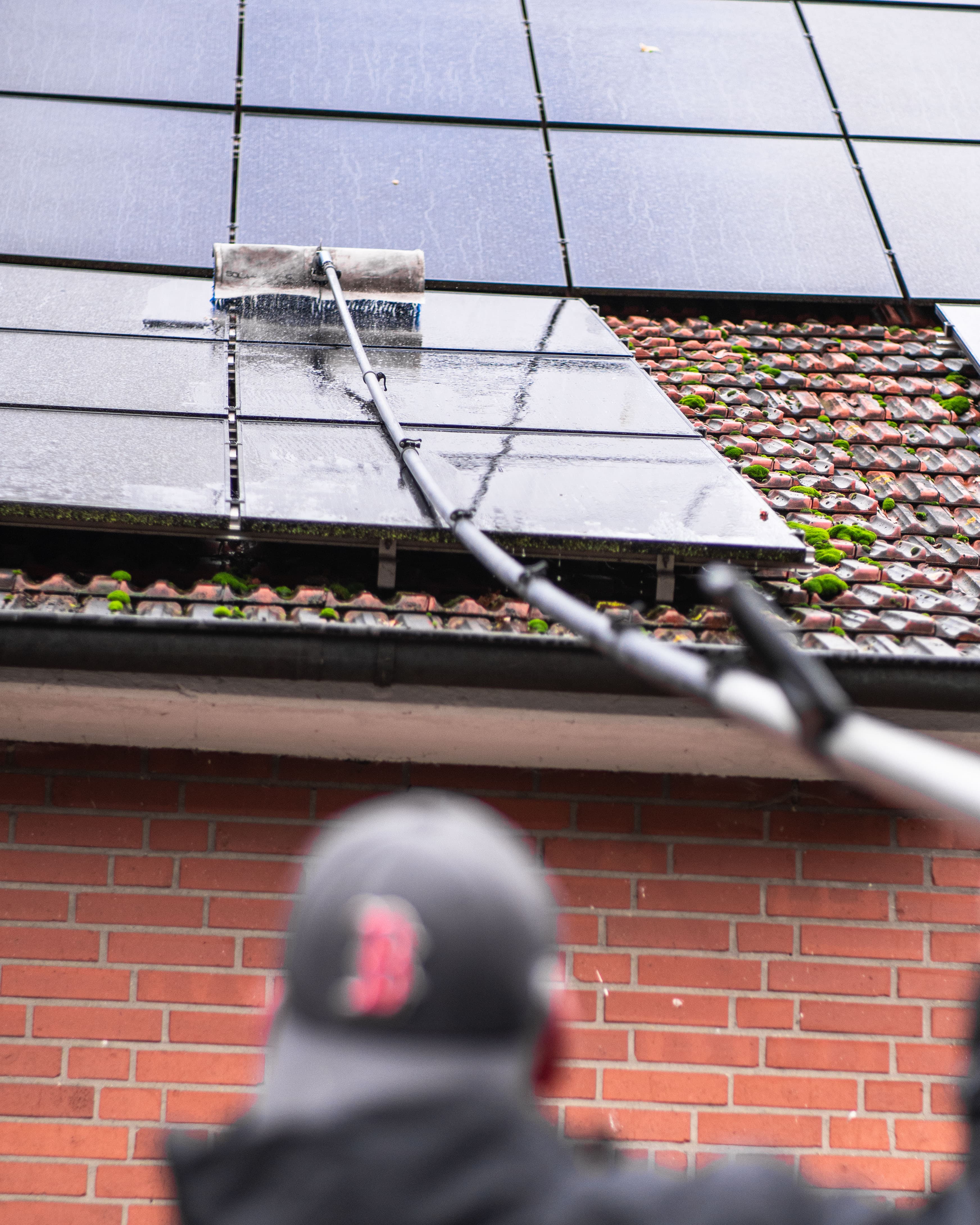 Moos von Solaranlage entfernen in Osnabrück