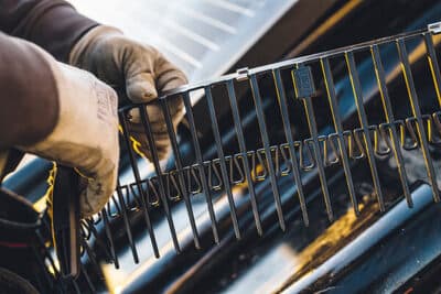 Warum Vogelkot nicht einfach wegregnet