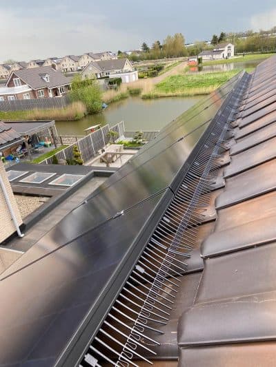 Vogelschutz: Einmal investieren, dauerhaft Ruhe